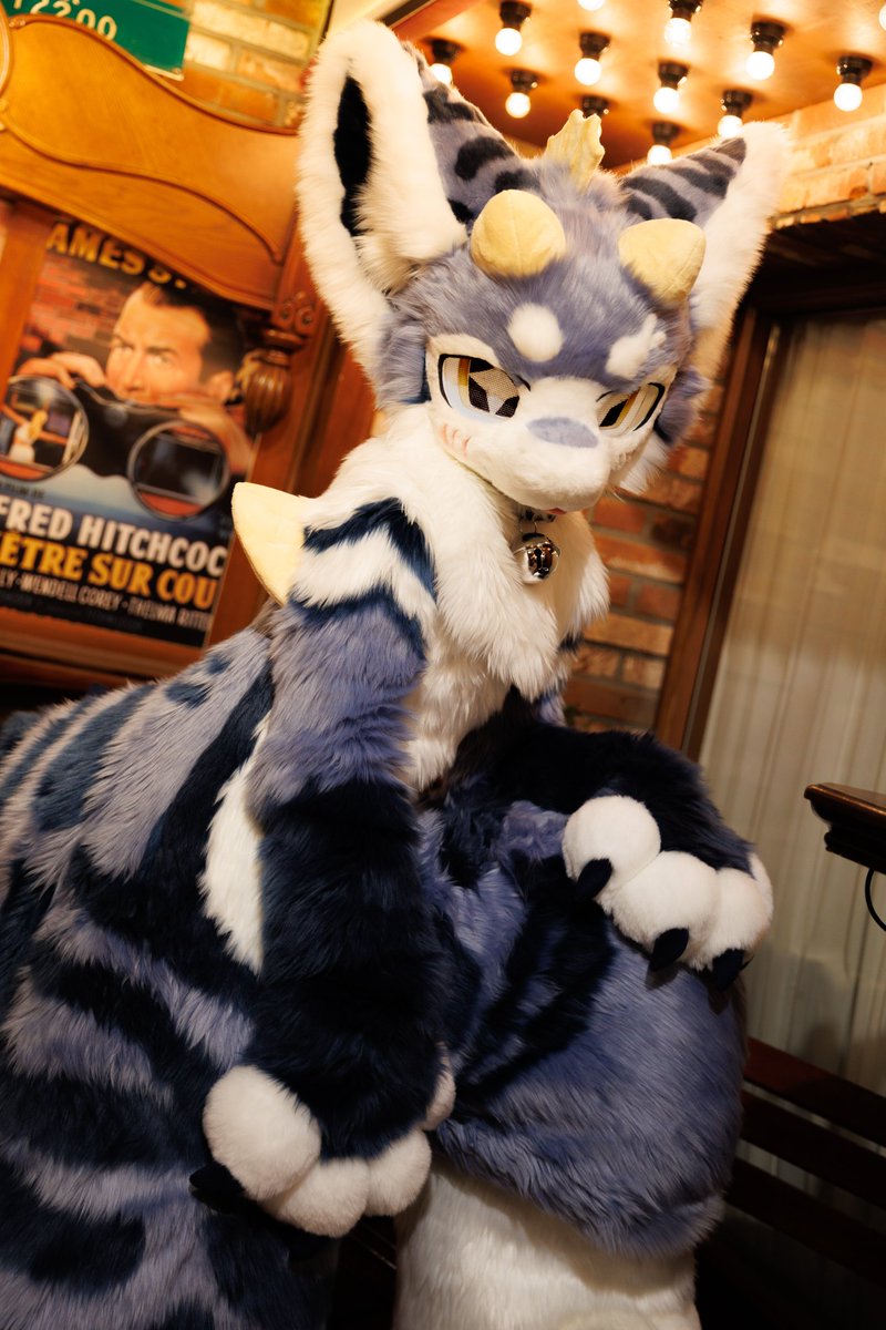 🧂소금친고등어 salt mackerel🐟 tweet media