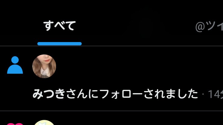 ドヤ猫 tweet media