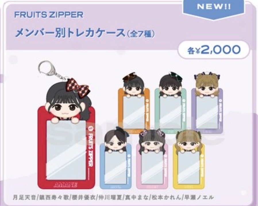 これの名前がトレカケースなのは、もうチェキは撮れませんよという運営