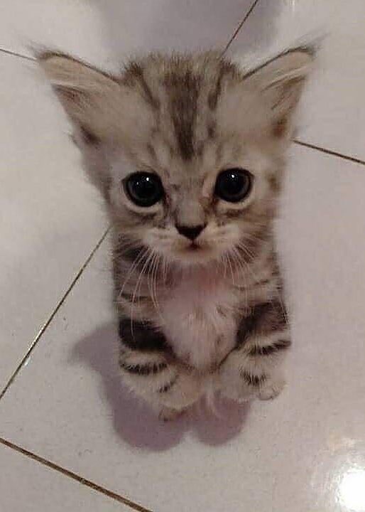 แซนค่ะ (@kkittychann) on Twitter photo 