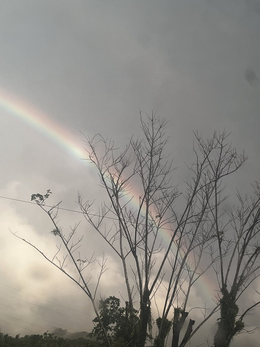 commandertin's tweet photo. These past few days, I was getting anxious. I was praying to get a sign from Him on what should I do. I had plans already, but I was still praying that he redirect me instead on His plans coz those are greater than mine. The alignment of happenings are just so amazing— https://t.co/urXiTMLj6g