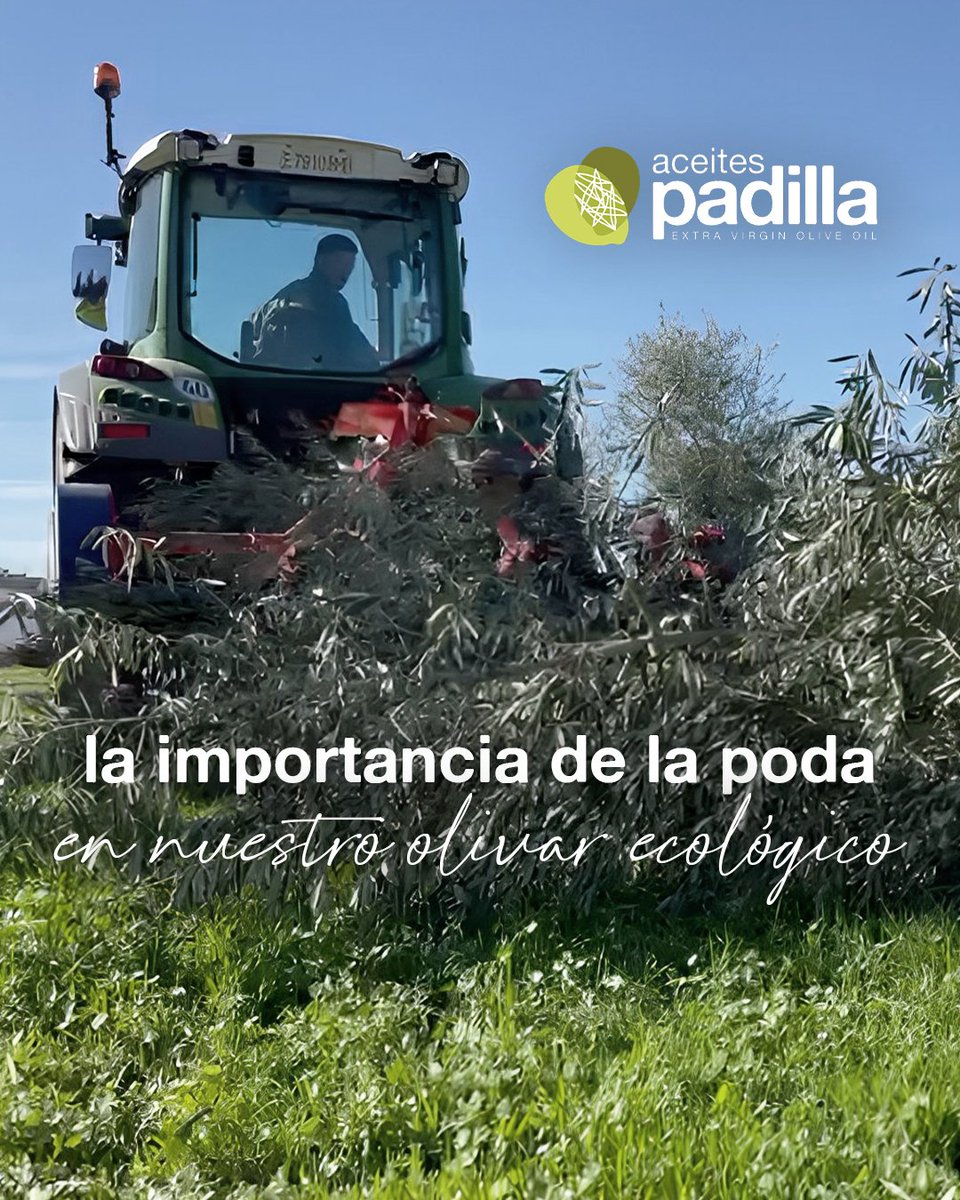 Aceites Padilla tweet media