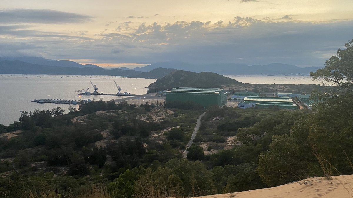 Hoai Nguyen | Hassan tweet media