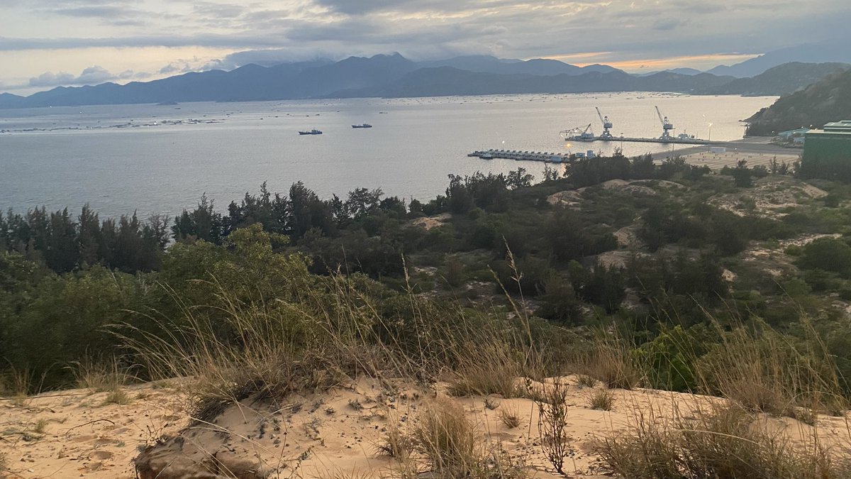 Hoai Nguyen | Hassan tweet media