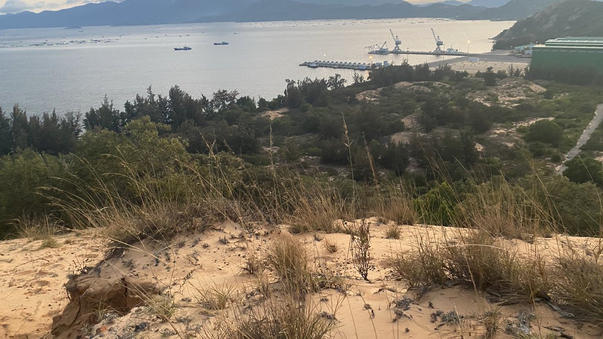 Hoai Nguyen | Hassan tweet media