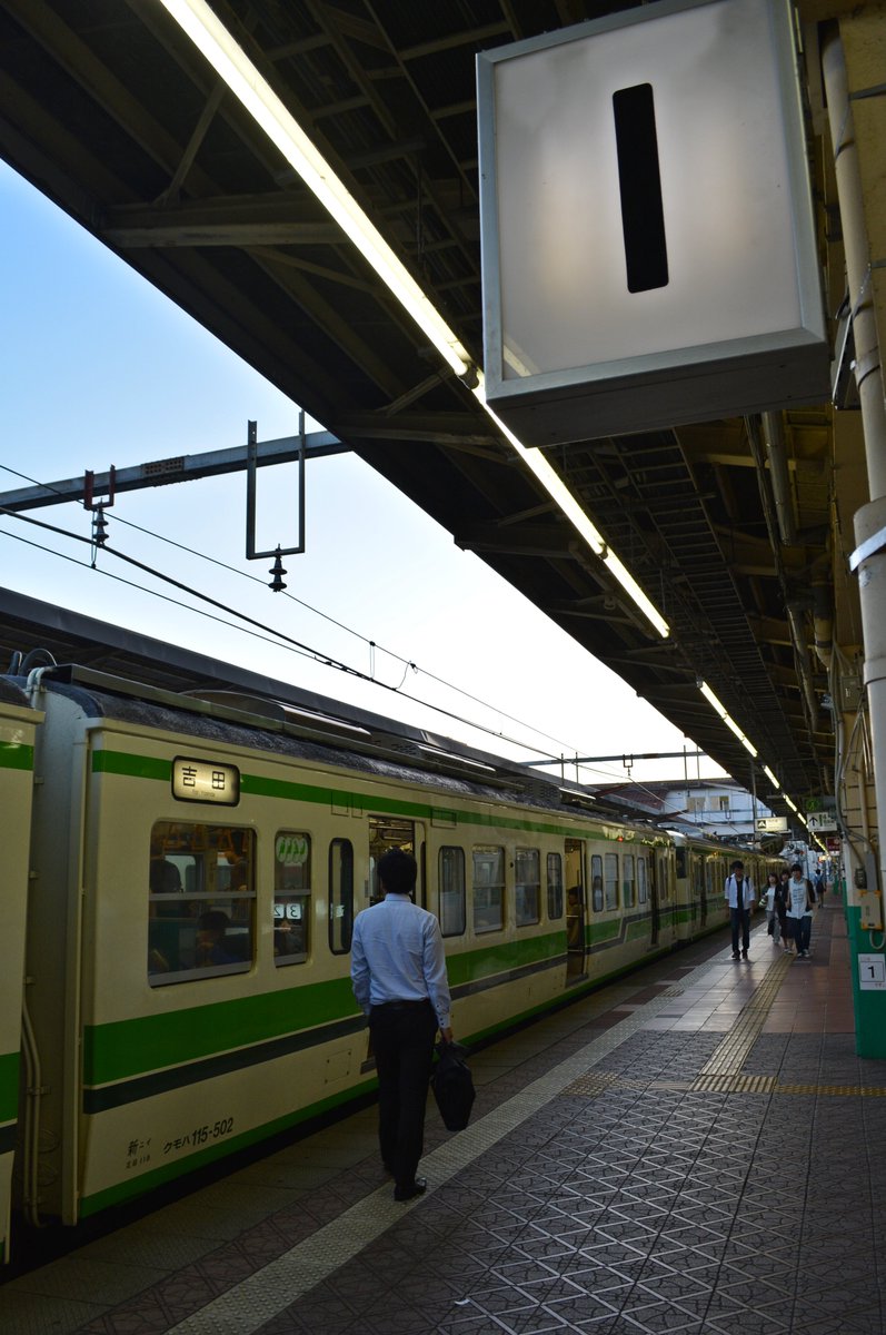 湘南あずき tweet media