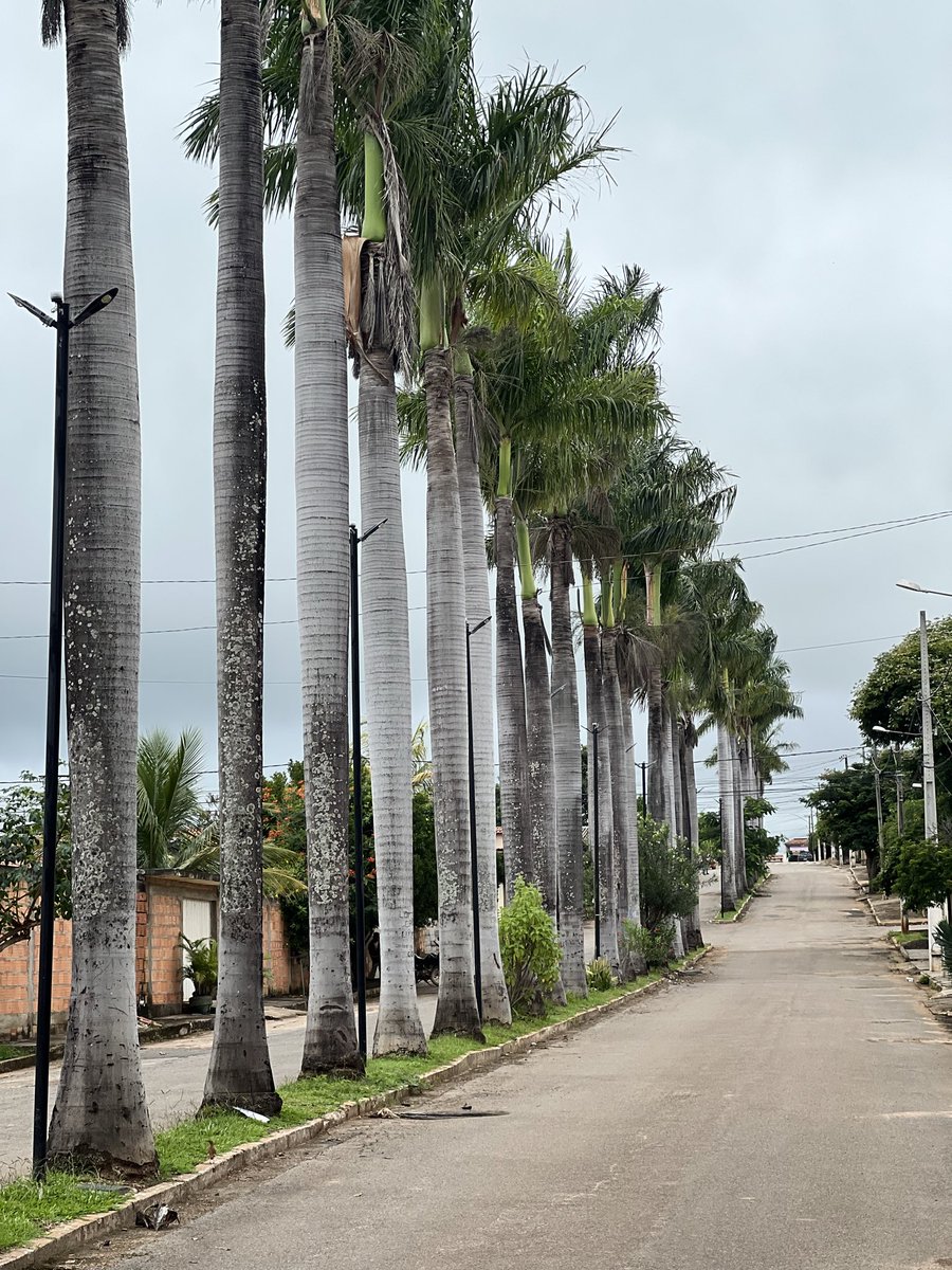 MarcosBrandao0's tweet photo. A semana é esse caminho diante de nós.
Não sabemos tudo o que encontraremos, mas sabemos Quem vai à frente. Com Deus guiando nossos passos, será uma semana extraordinária. https://t.co/JtljM5mi2W