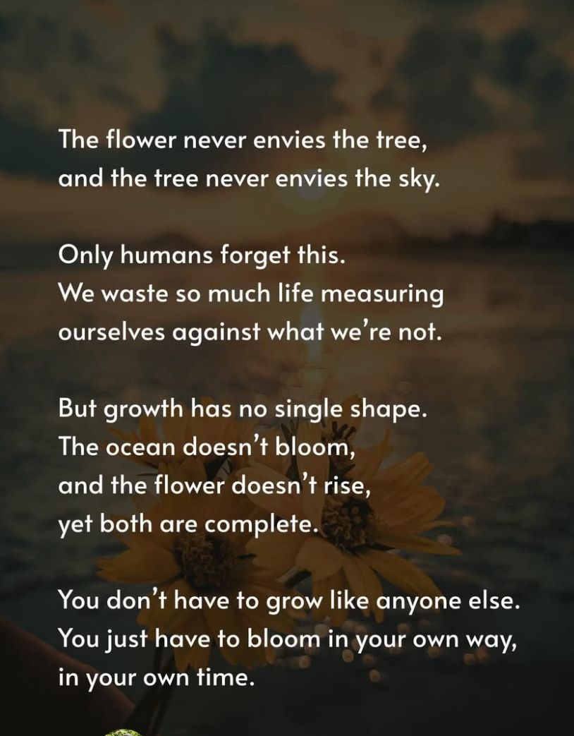 Cartney Slaughter tweet media