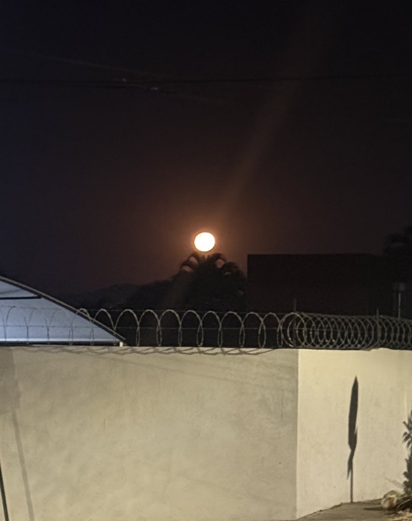 Memoligers's tweet photo. Luna llena 🌝 02/03/26 6:19 am https://t.co/zq6gj5zZ81