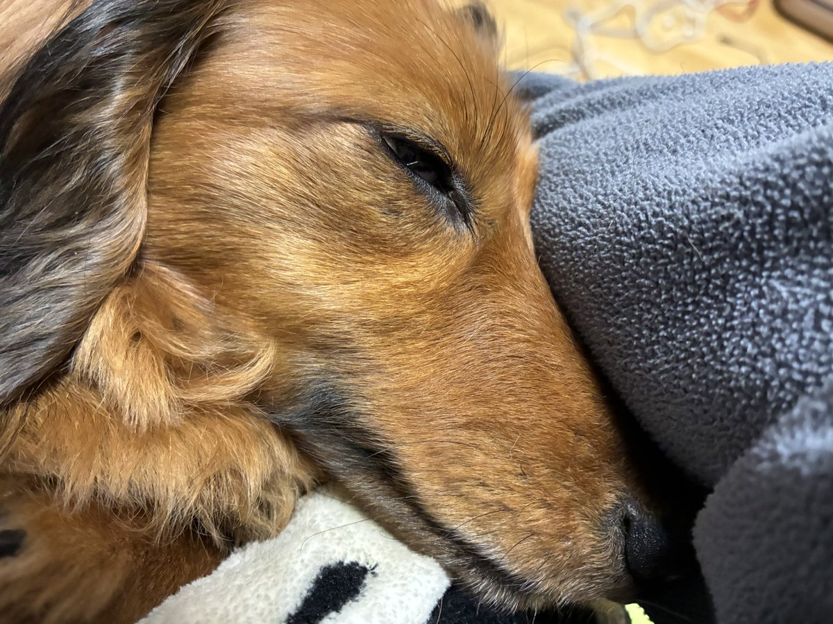 腕枕でねてます