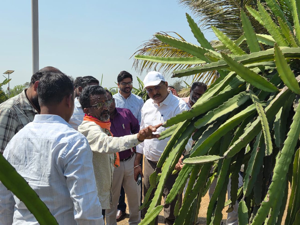 TusharCPMB's tweet photo. Maiden visit of Sj Sachin R. Jhadav,IAS, Commissioner cum Secretary, Agriculture &amp; Farmer's empowerment Department, Govt of Odisha to Different projects of Agriculture department in Sambalpur District
@krushibibhag @DmSambalpur @chief_dist89210 @CMO_Odisha https://t.co/OxZyQaTar4