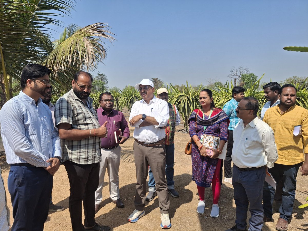 TusharCPMB's tweet photo. Maiden visit of Sj Sachin R. Jhadav,IAS, Commissioner cum Secretary, Agriculture &amp; Farmer's empowerment Department, Govt of Odisha to Different projects of Agriculture department in Sambalpur District
@krushibibhag @DmSambalpur @chief_dist89210 @CMO_Odisha https://t.co/OxZyQaTar4