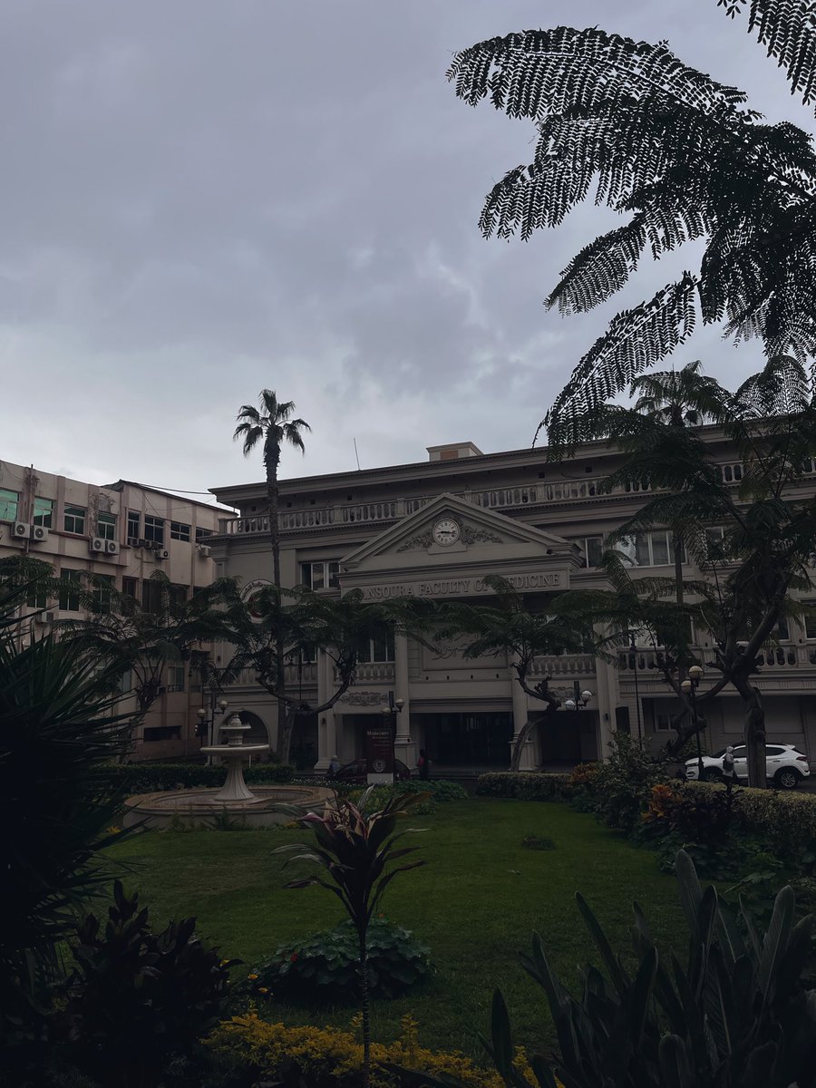 battoott_'s tweet photo. 🌧️ https://t.co/i94usXi6Gi