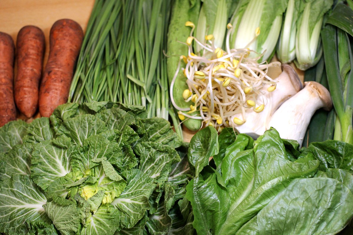 마포농수산쎈타 tweet media