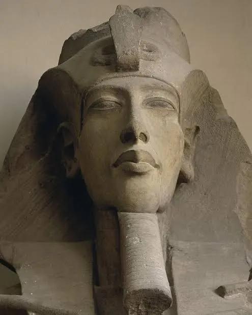 𝐜𝐚𝐜𝐢𝐧𝐠 tweet media