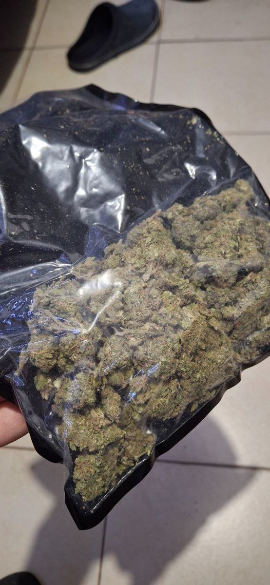 Estación 420 tweet media