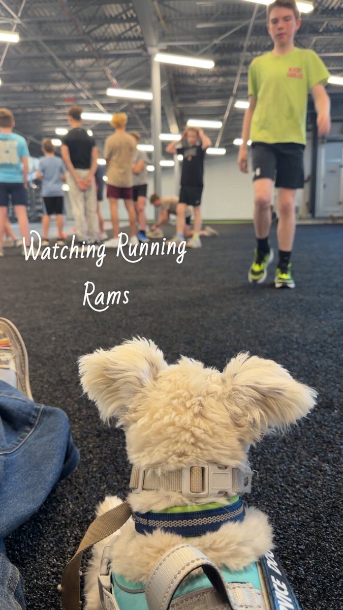 Coach Cook tweet media