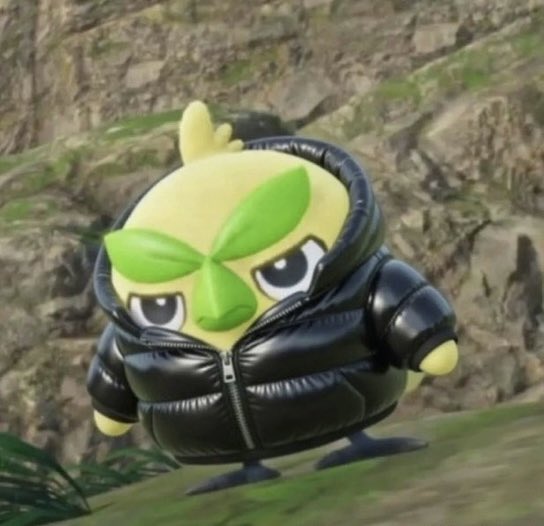 BrowtSol's tweet image. Puffer gang