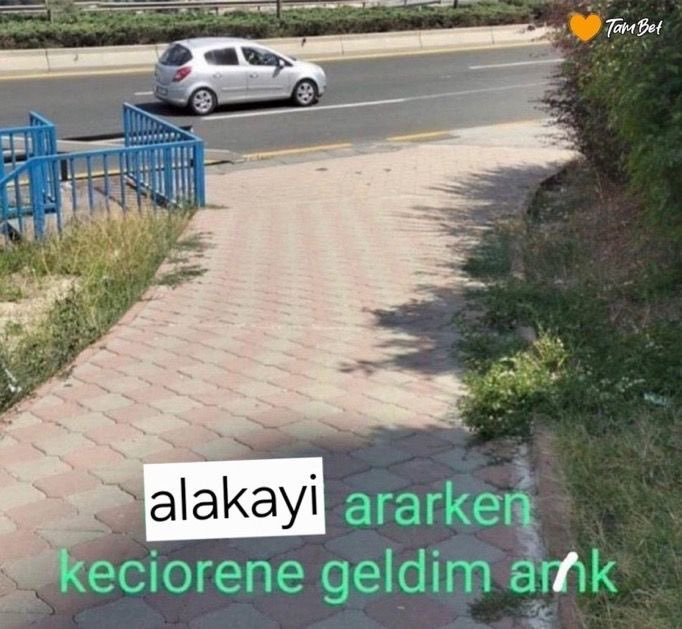 𝕱𝖗𝖊𝖉𝖉 tweet media