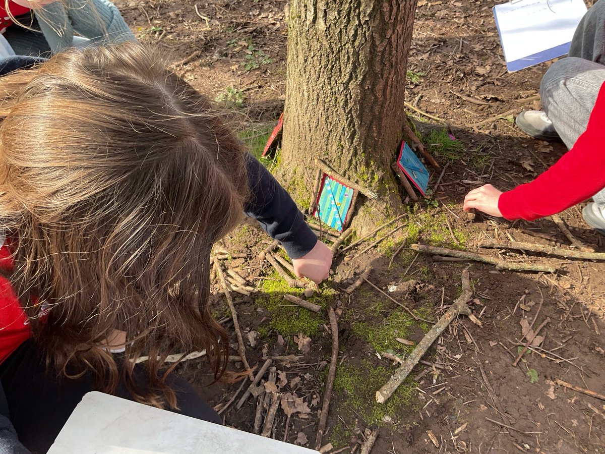 OLSMtweeters's tweet image. Year 5 have been using our forest area as inspiration for creative writing and using their door portals to a mythical land as to fire imagination for creative writing. #outdoorclass #creativewriting #expressiveartsandwriting