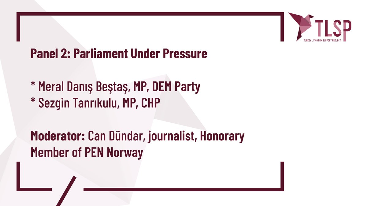 Turkey Litigation Support Project tweet media