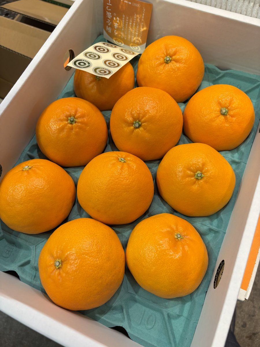 みかんノート (@mikanflavor1) / Posts / X