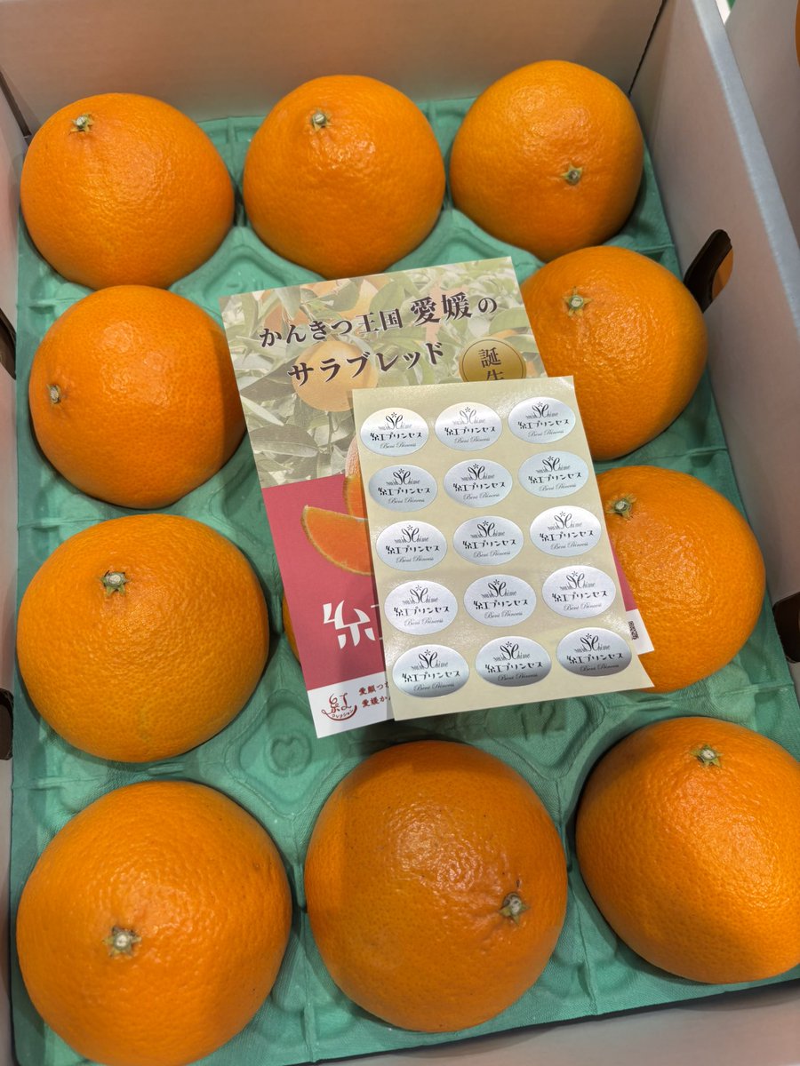 みかんノート (@mikanflavor1) / Posts / X