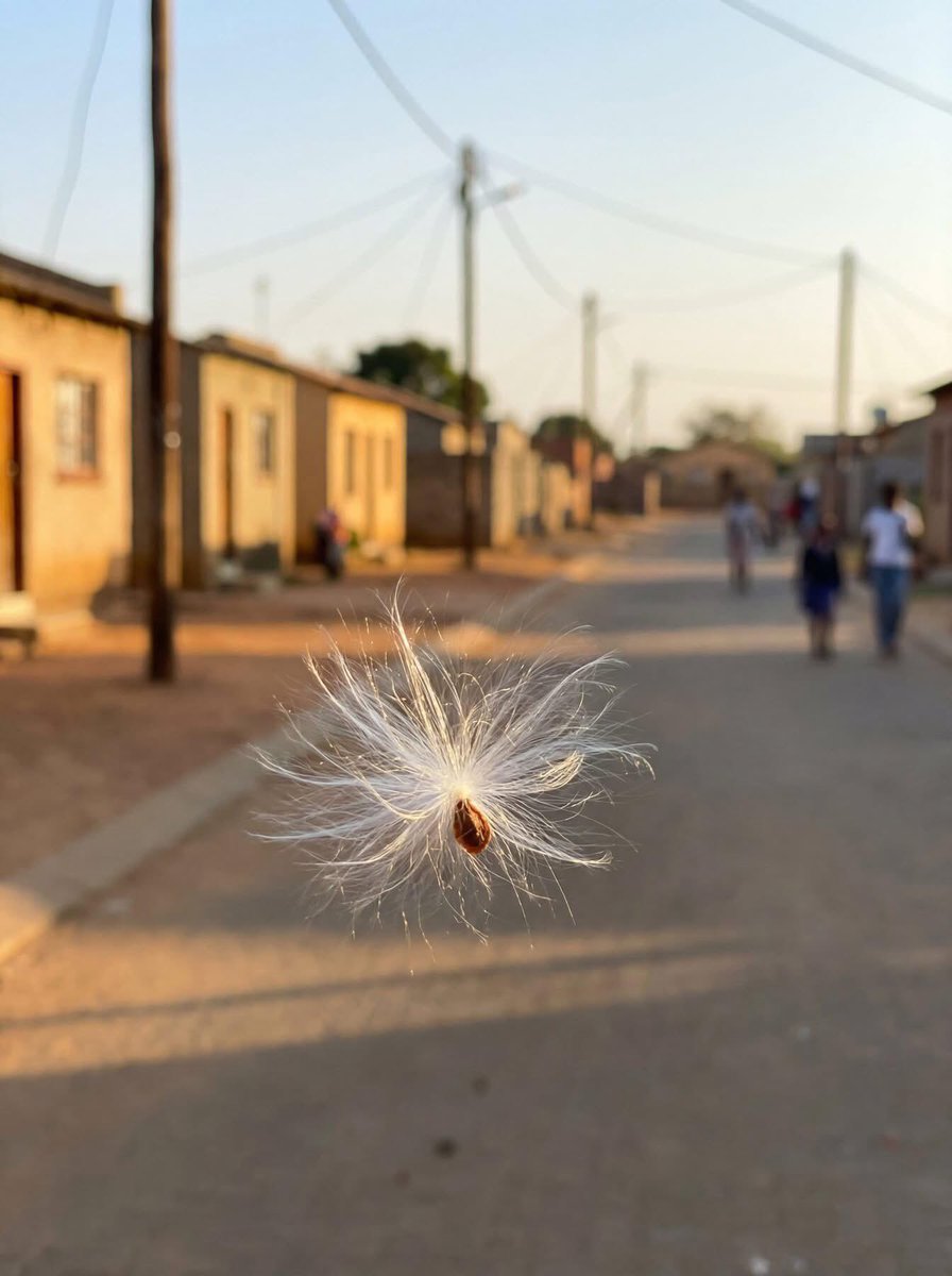 🤍I’m Sanwo_Fatimah tweet media