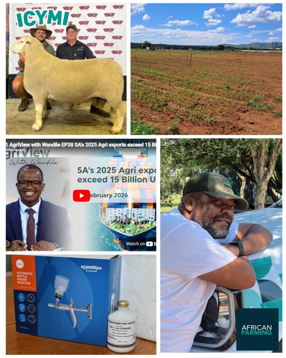 African Farming tweet media