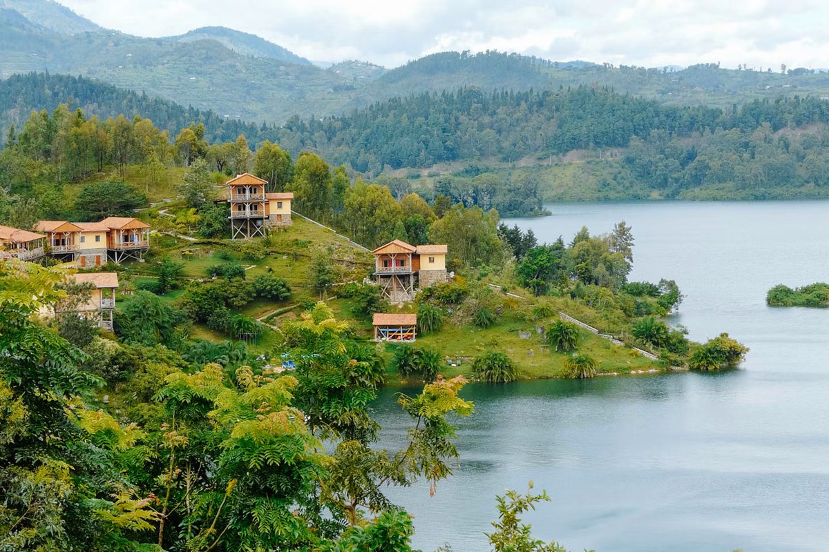 Benjamin Babunga Watuna tweet media