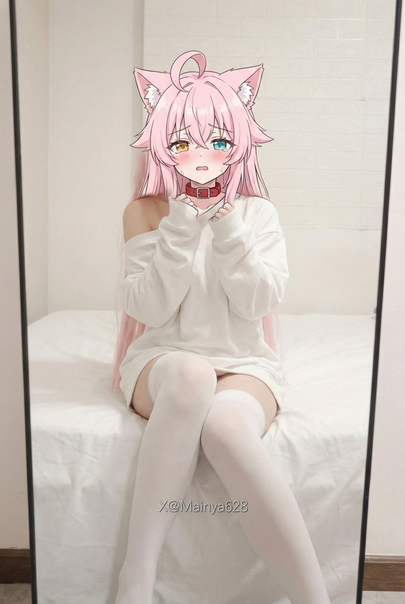 缅因Mainya喵 tweet media