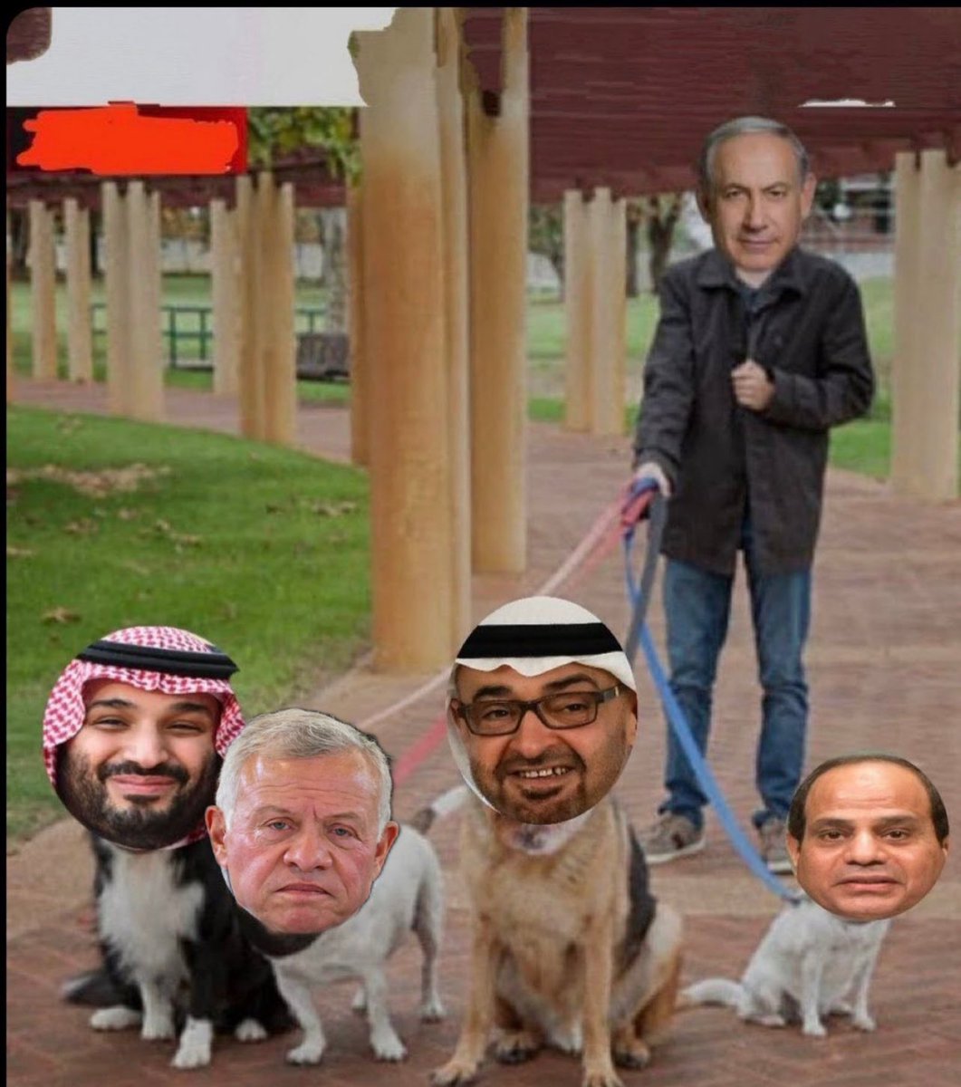 Belal Ahmad tweet media