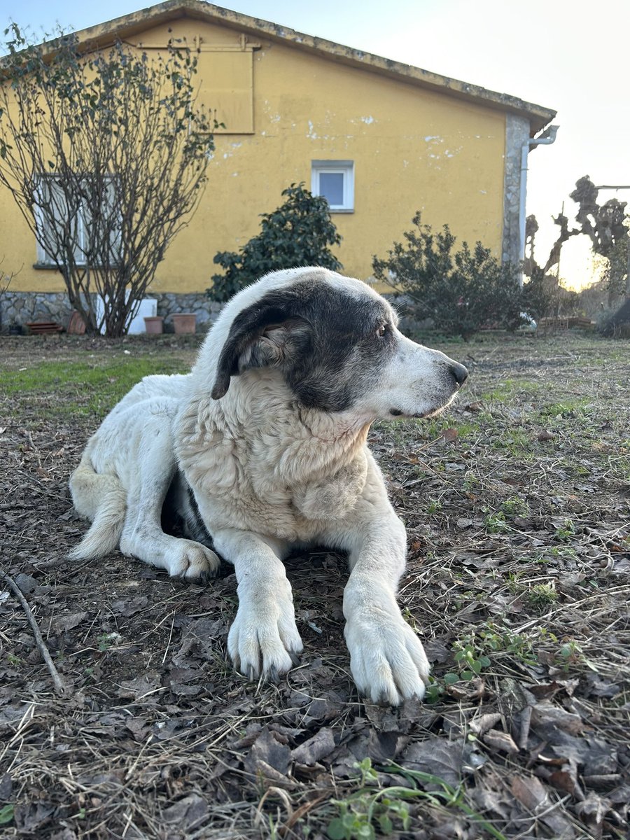 Judiit_armengol's tweet photo. 28/02/2026
Dels dies més durs de la meva vida🪽❤️‍🩹 https://t.co/Odu6sBY4t3
