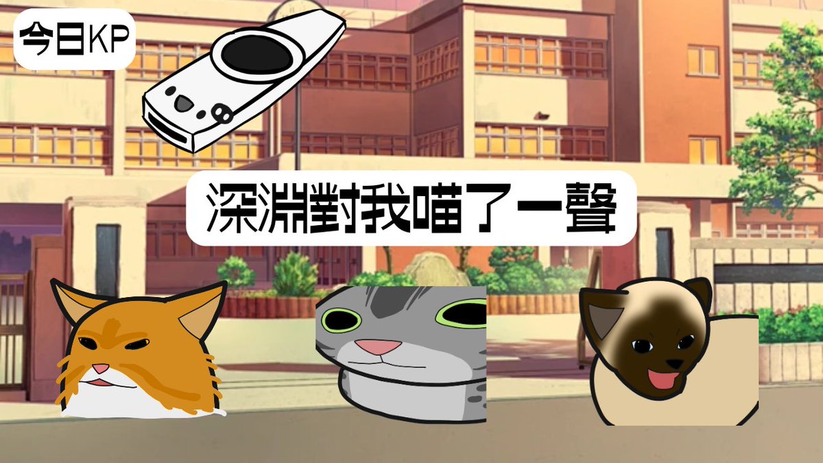 布丁小雞 🍮 咕咕嘎嘎 tweet media