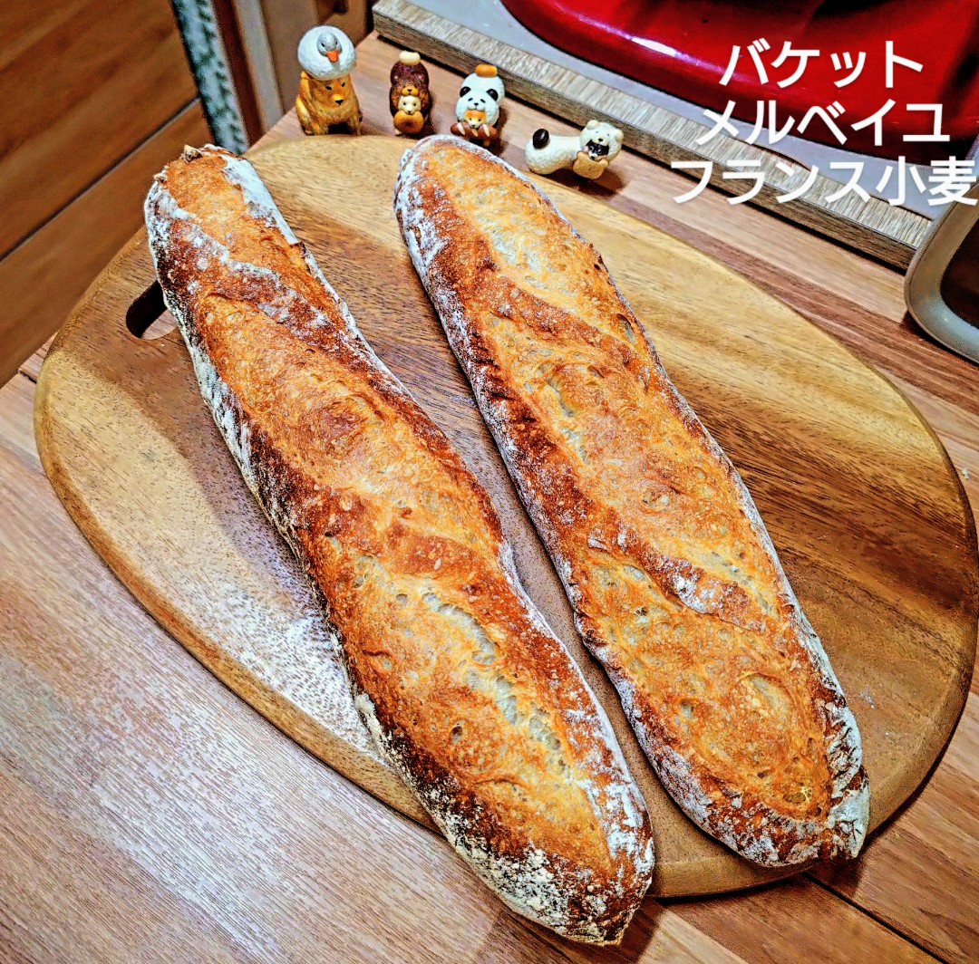 omusubi12091's tweet photo. バケット🥖
（メルベイユ+赤サフ）

いつもは国産小麦を使ってるけど
フランス小麦を使ってみた🇫🇷🌾
めっちゃ焼き色良い😳
しかもパリッパリッで軽い🪽
RO水使ったけどVittel使ってみようかな🤔

もしかしたらクロワッサンとか良いかも🥐 https://t.co/03L7zpp27P