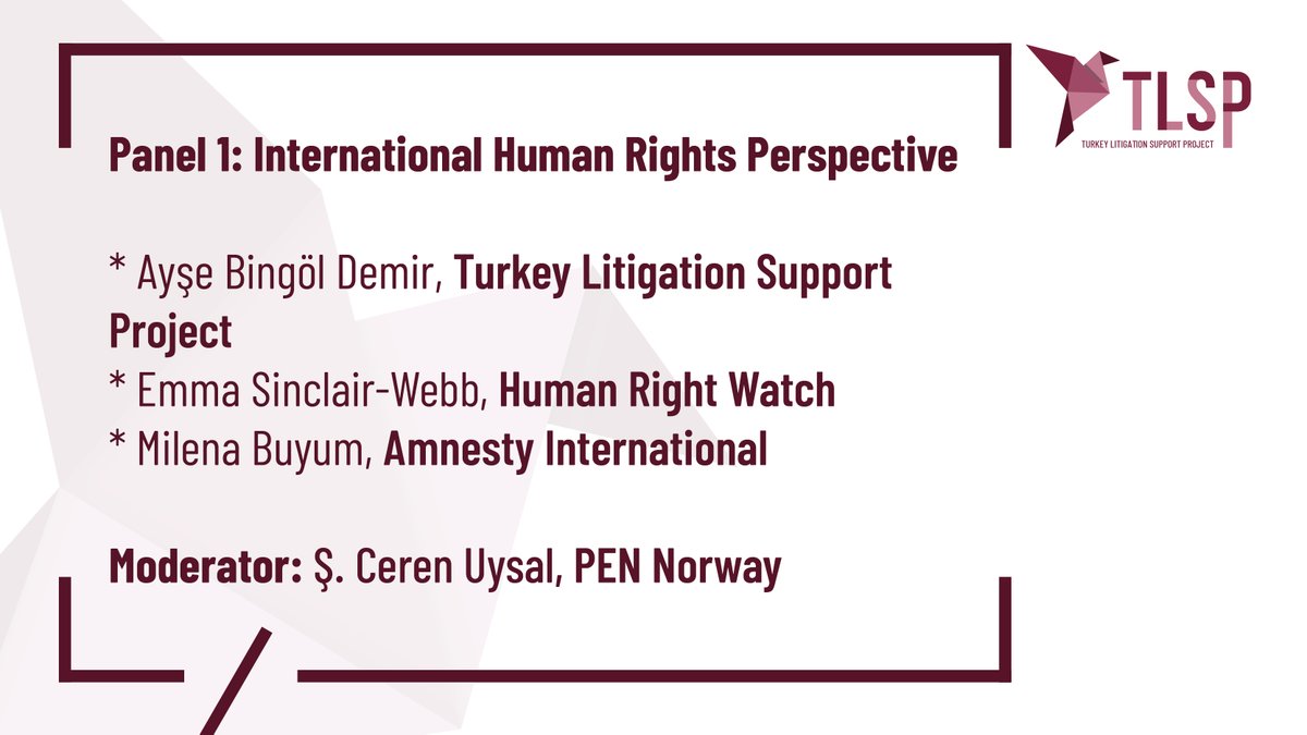 Turkey Litigation Support Project tweet media