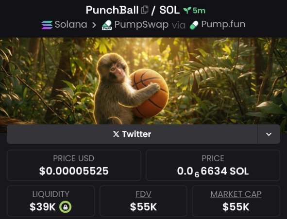 forkedflicker's tweet image. Called $PunchBall at $55K Mcap in my alpha VIP's group 🔥👨‍🍳🚀. . .
⛓️Solana

CA: E1jqth7k6yWhrUnpAmKVWeFz4T37WSVkm2MuUKgppump

#punchball #solana #memecoin #alphacall