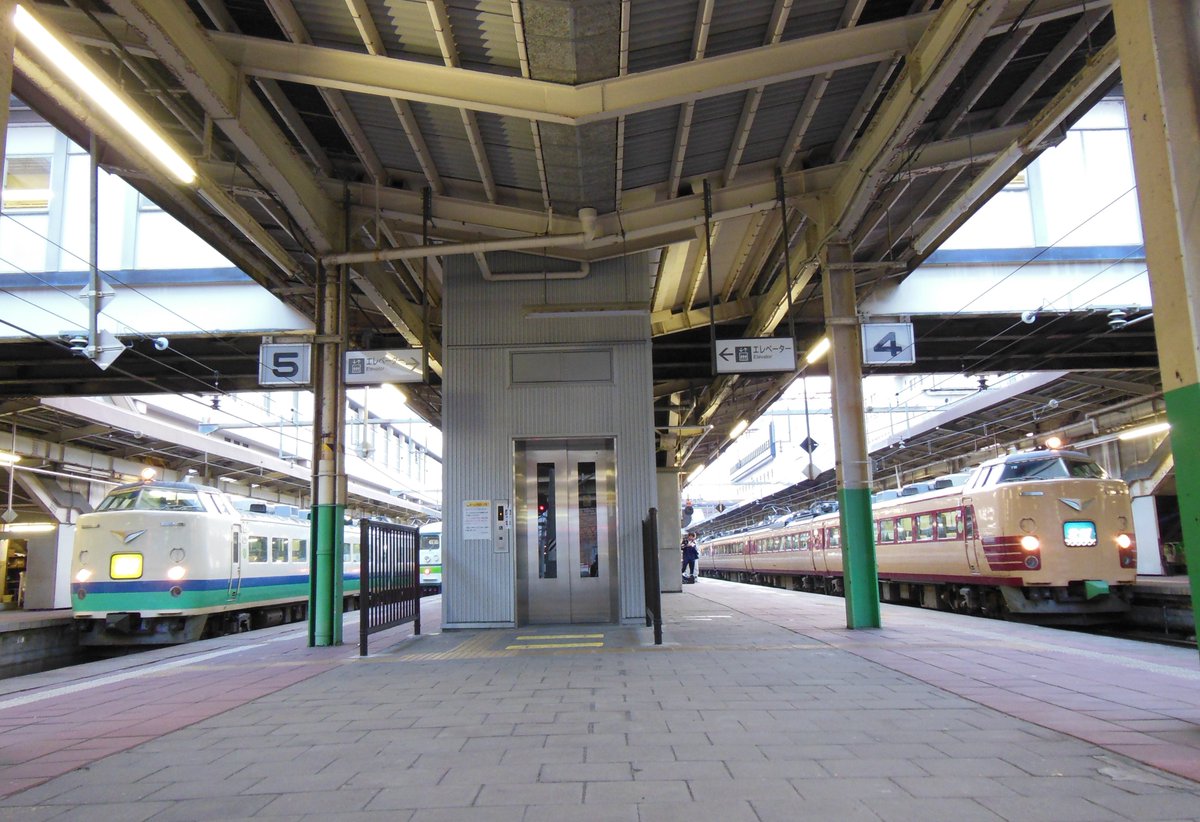 湘南あずき tweet media