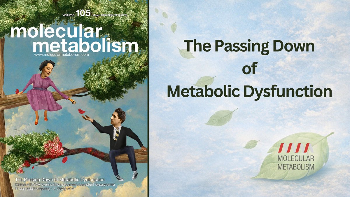 Molecular Metabolism tweet media