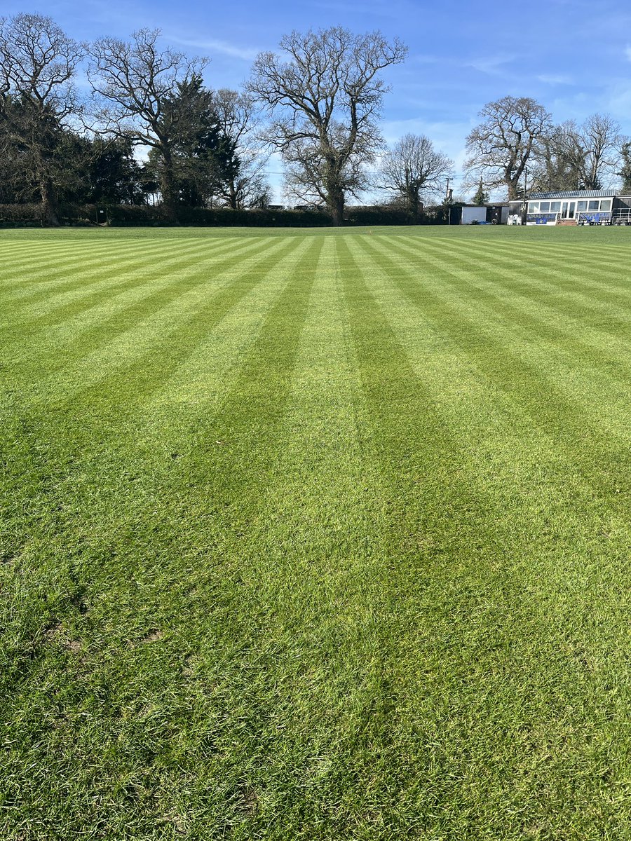 WillyCricket's tweet photo. Lovely day, roller out tomorrow https://t.co/0FOwcQ7KoV