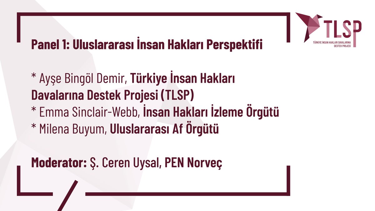 Turkey Litigation Support Project tweet media