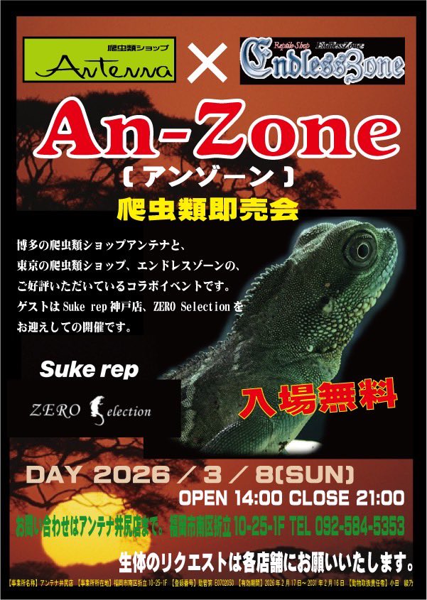 爬虫類ショップアンテナ 【井尻店】 tweet media