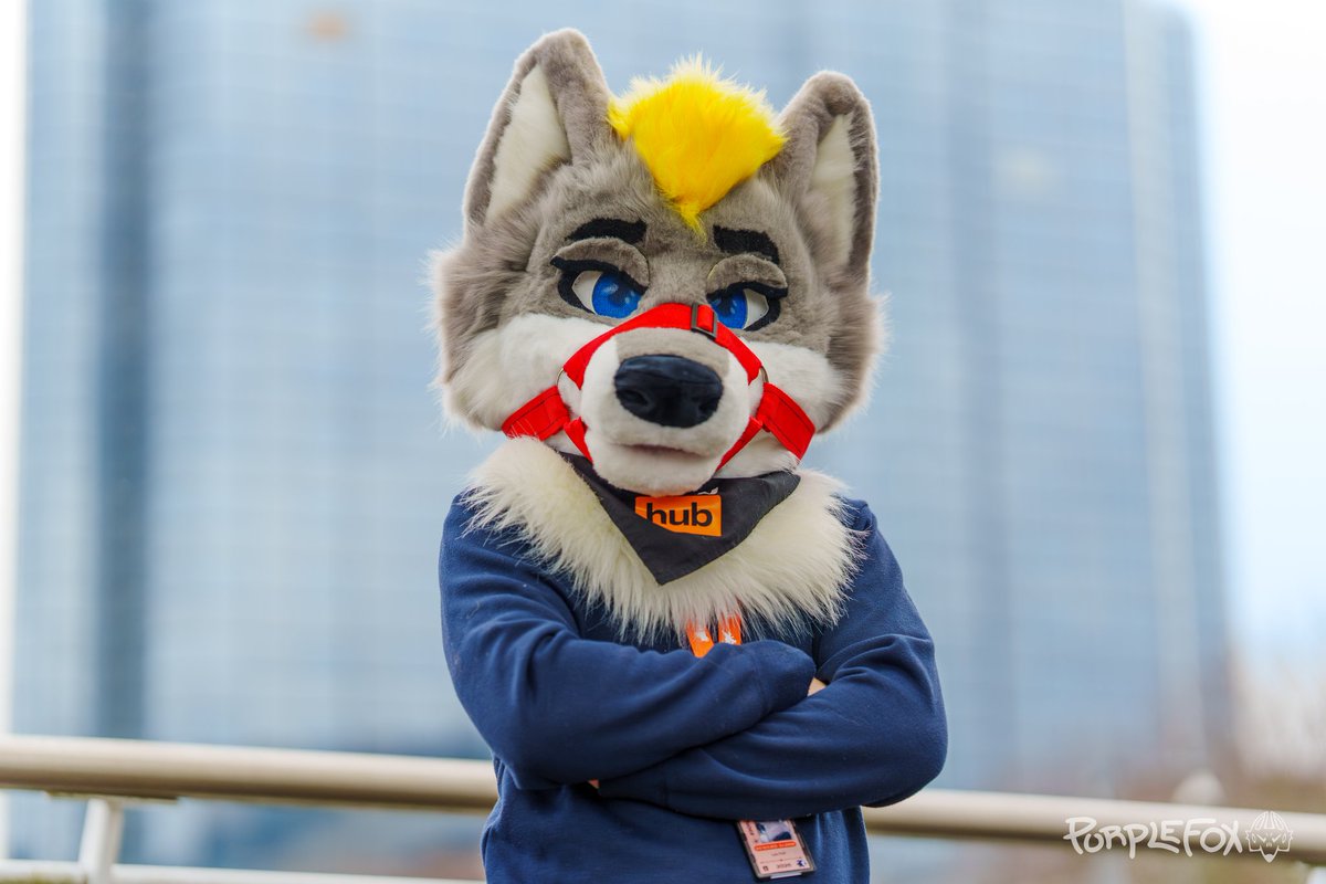 Lee Folf tweet media