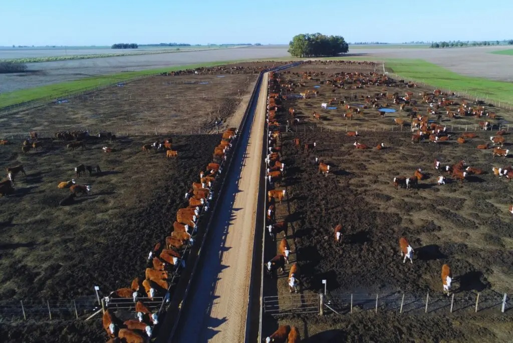 INTA Informa tweet media