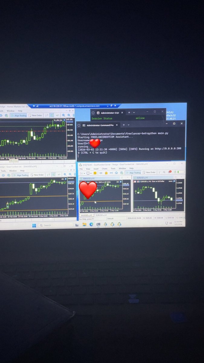 botdev01's tweet photo. XAUUSD and USDJPY
Those are the pairs my algos trade https://t.co/E8UE6voODQ