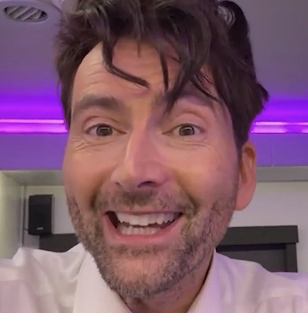 Day #1151 of David Tennant as a Fennec Fox!