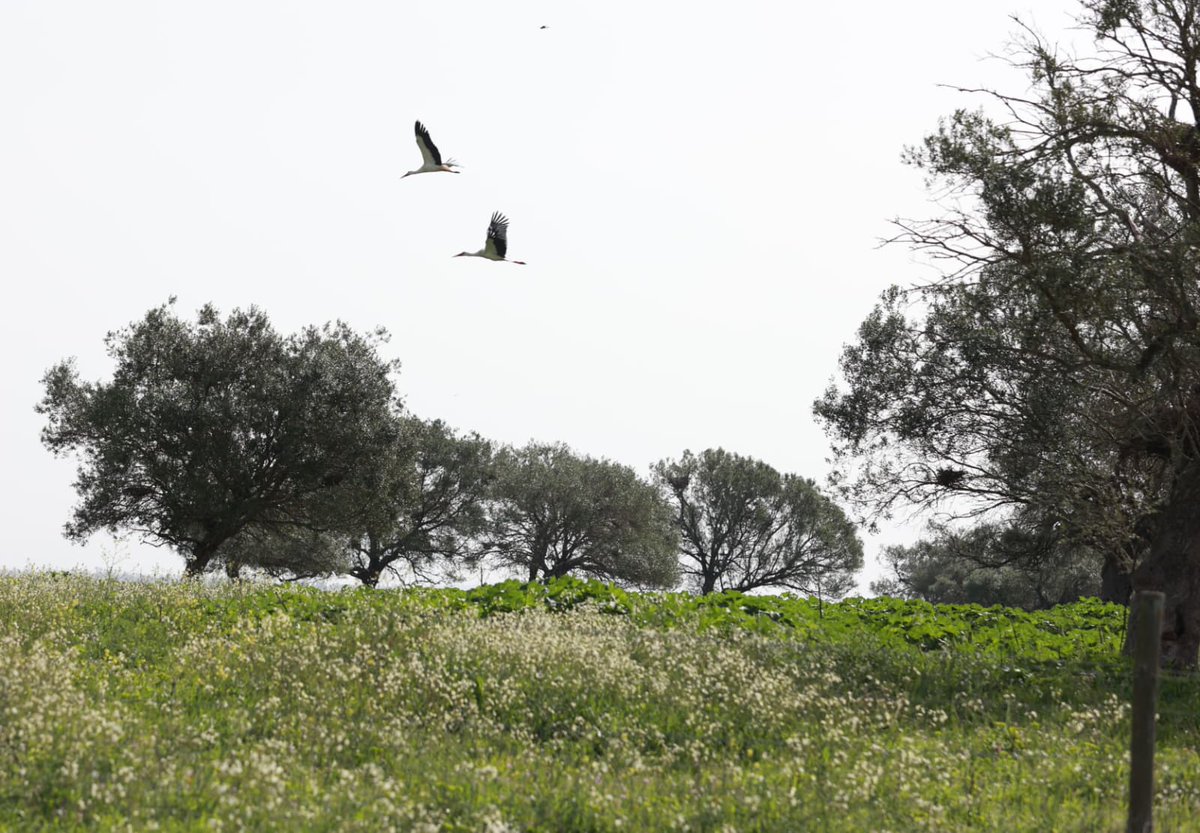 Catalina García tweet media