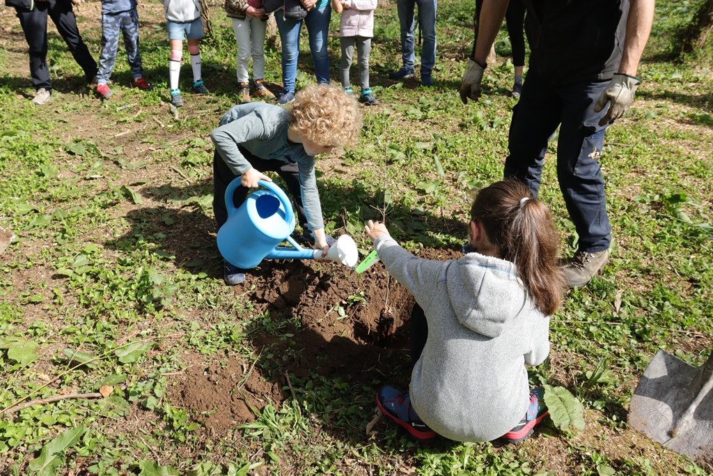 El Pobaleko Burdinola / Ferrería de El Pobal tweet media