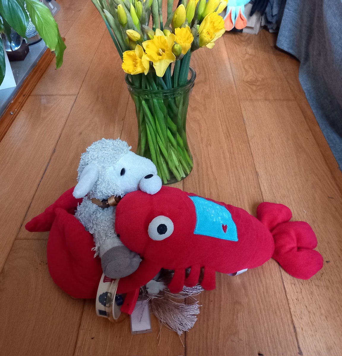 CrToby's tweet photo. Oh no! I forgot my pinch pinch greetings for March! And it was St David's Day too! I gave Maggie a big cwtch to say sorry... https://t.co/KRxXLiZMCc