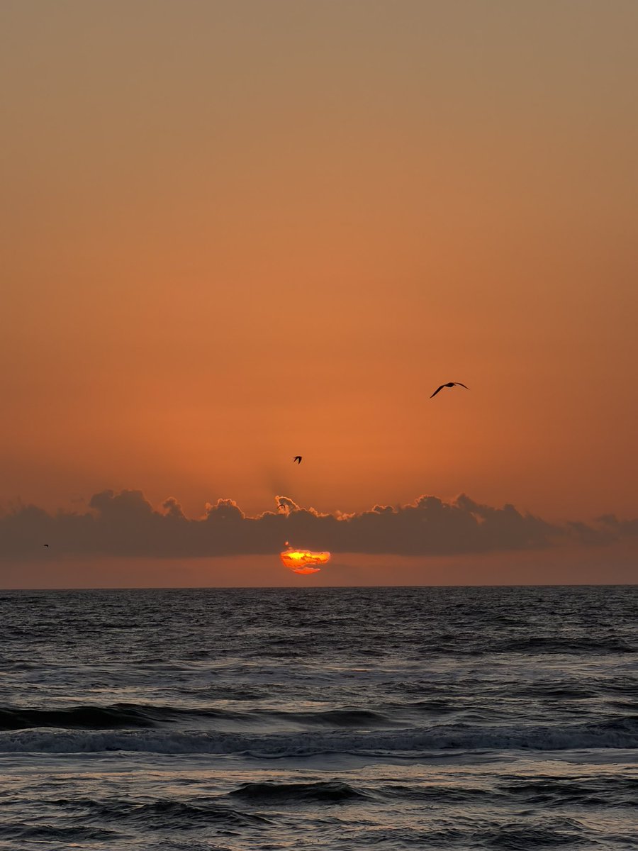 Captain Eli tweet media